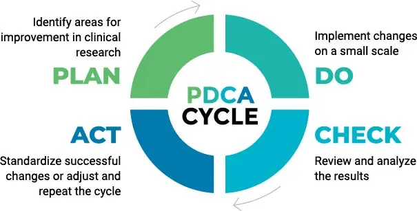 Organizational processes